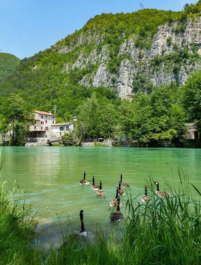 SolagnaCasa Sul Fiume County House住宿加早餐旅馆 外观 照片
